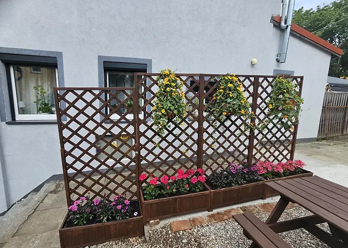 Rosa Apartamenty